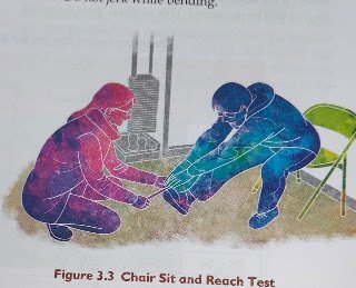 Class 12 Physical Education Administration of Senior Citizen Fitness Test