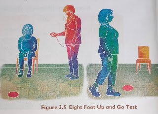 Class 12 Physical Education Administration of Senior Citizen Fitness Test