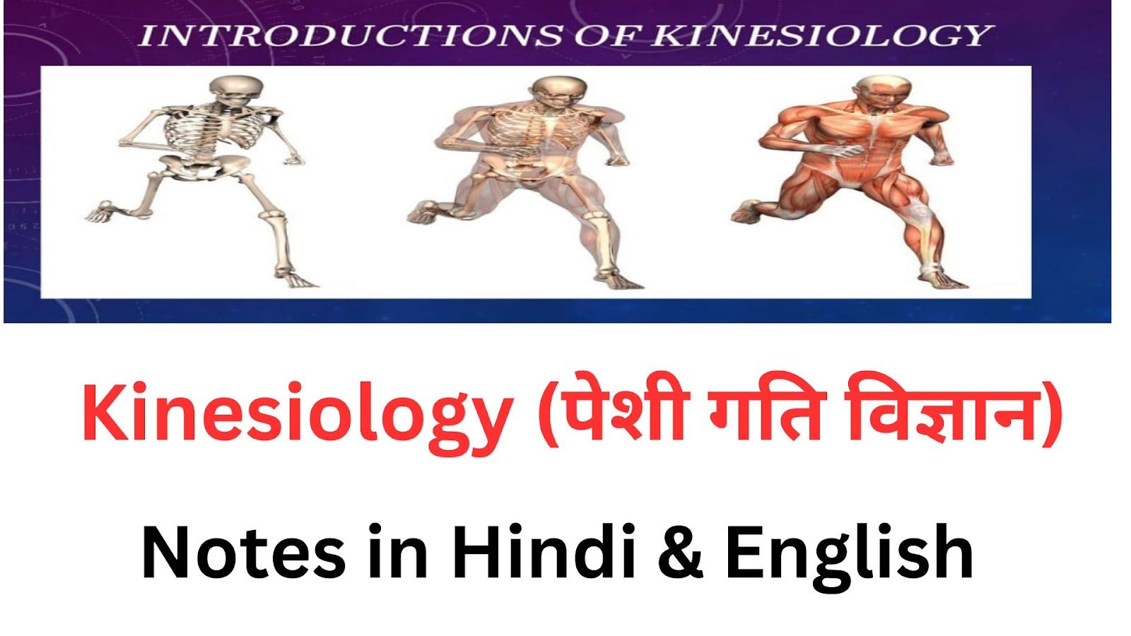 Kinesiology (पेशी गति विज्ञान ) / Meaning , Definition and Basic Concept / B.P.Ed , B.P.E.S , M.P.Ed Kinesiology (पेशी गति विज्ञान ) / Meaning , Definition and Basic Concept / B.P.Ed , B.P.E.S , M.P.Ed