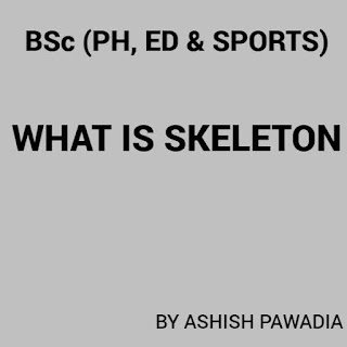 कंकाल या अस्थिपिंजर(SKELETON ) क्या है व शरीर की हड्डिया