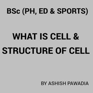 कोशिका क्या है What is cell in hindi कोशिका क्या है What is cell in hindi